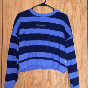 Champion Blue and Black Striped Crewneck